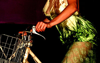 bicicletta By Bukutgirl