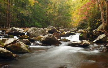 2010: l'anno della biodiversità