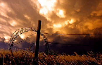 tempesta By Steve took it