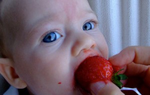 fragole
