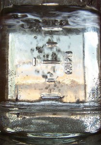 acqua By Zebble