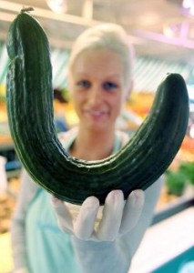 cetriolo Finalmente nei supermercati