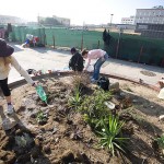 Guerrilla Gardening, il giardinaggio contro il degrado cittadino