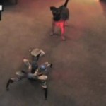 Cane vs Robot: il video della sfida