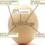 Etichetta delle uova: attenzione alla prima cifra